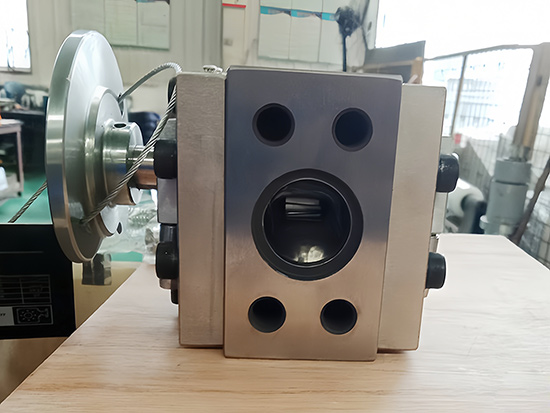 精密醫(yī)療導(dǎo)管擠出熔體泵